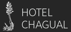 Hotel Chagual